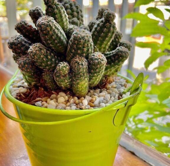 Hotell Liên Tho Phú Quốc