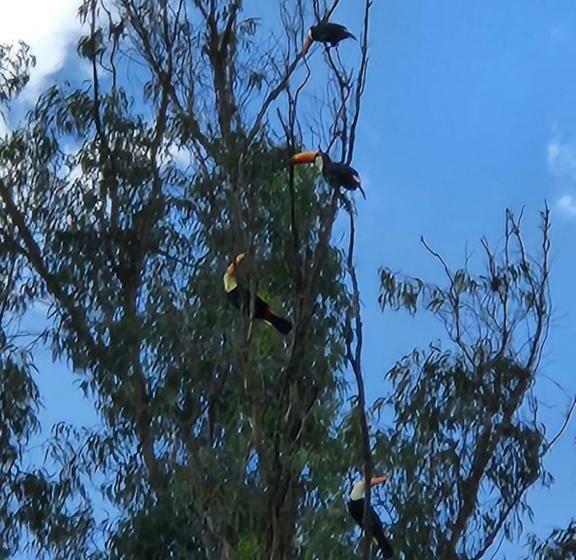 Hostel Pousada Sítio Do Sossego