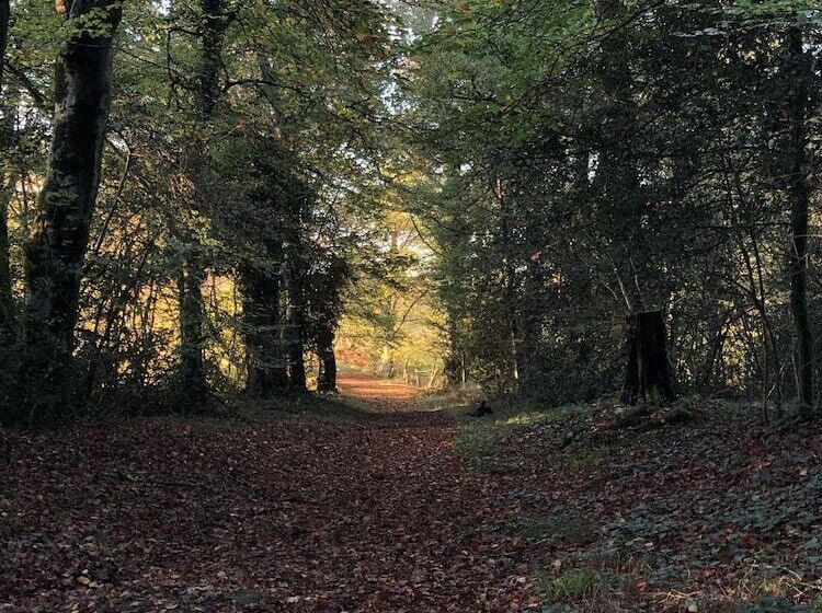 צימר Château De Montautre