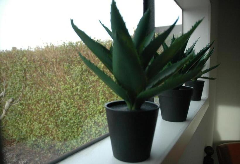 تختخواب و صبحانه Twinkeling Lights