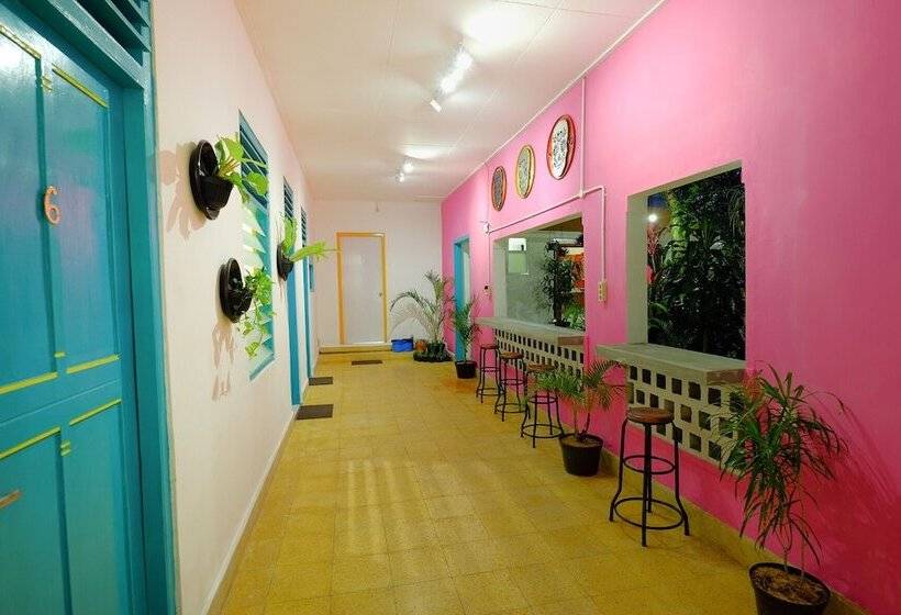 هاستل Snooze Malang