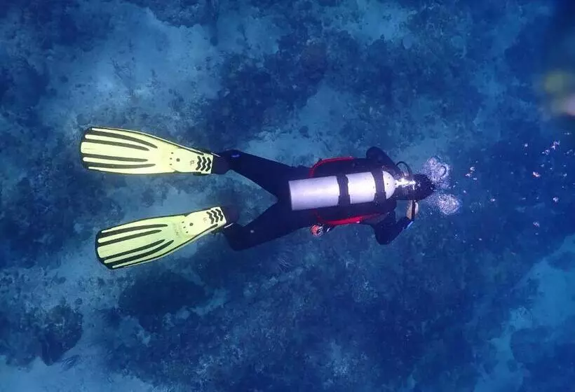 هتل Dive Center Portobelo