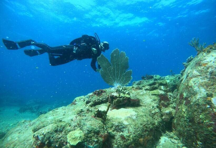 هتل Dive Center Portobelo