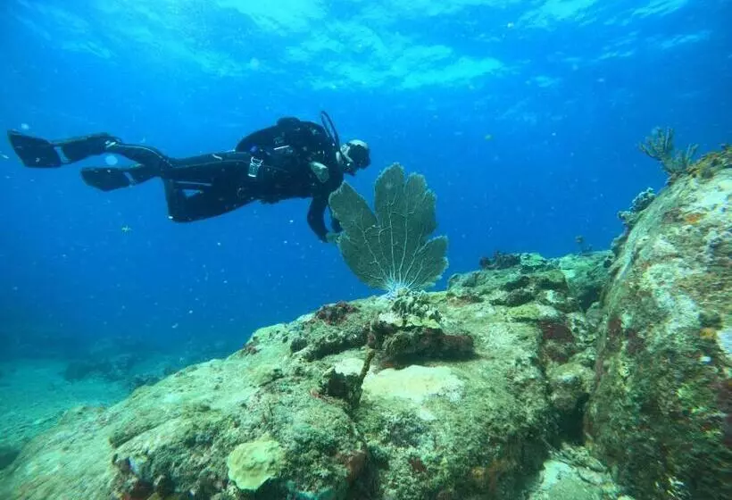 هتل Dive Center Portobelo