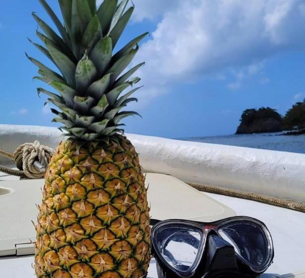 هتل Dive Center Portobelo