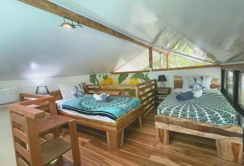 استراحتگاه Dragonfly Beachfront Villas Adult Only
