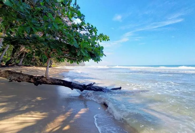 استراحتگاه Dragonfly Beachfront Villas Adult Only