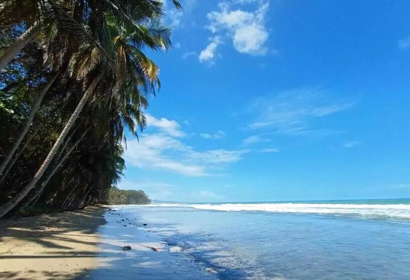 استراحتگاه Dragonfly Beachfront Villas Adult Only