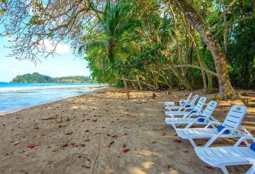 استراحتگاه Dragonfly Beachfront Villas Adult Only