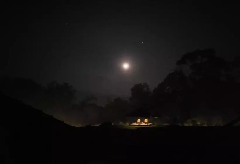 The Dandelion   Colonels Jungle Resort