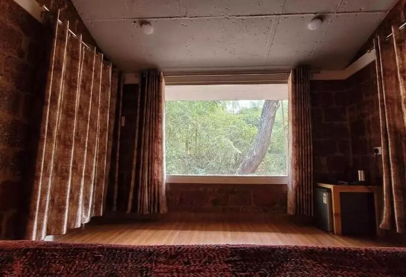 The Dandelion   Colonels Jungle Resort