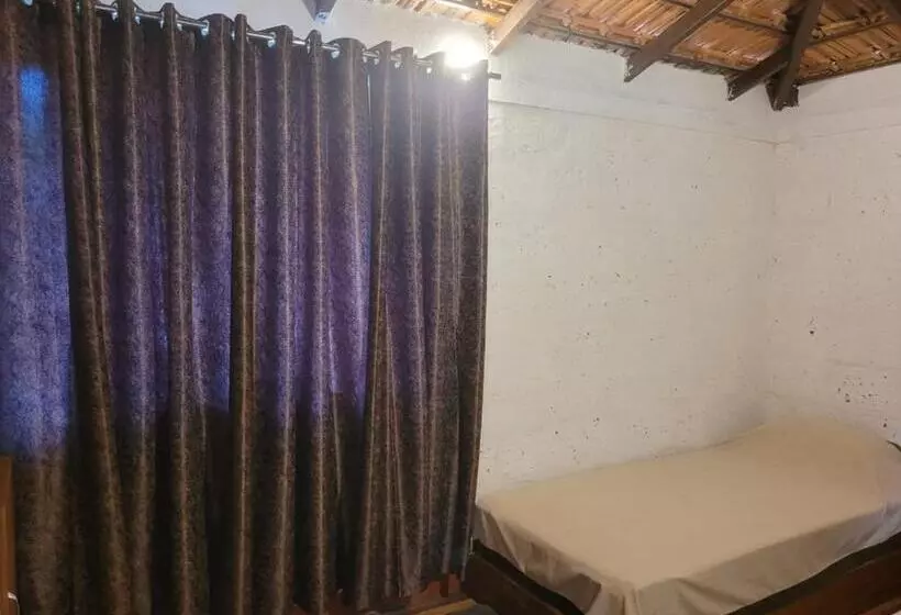 The Dandelion   Colonels Jungle Resort