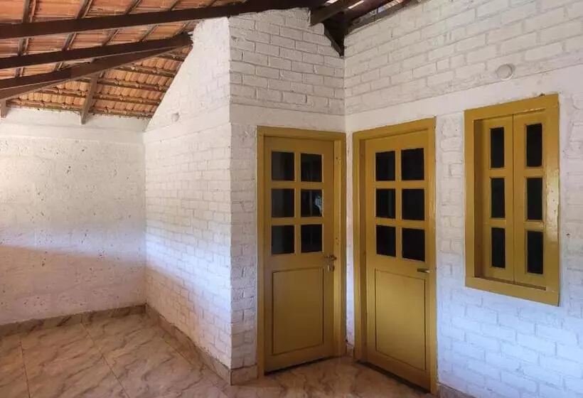 The Dandelion   Colonels Jungle Resort