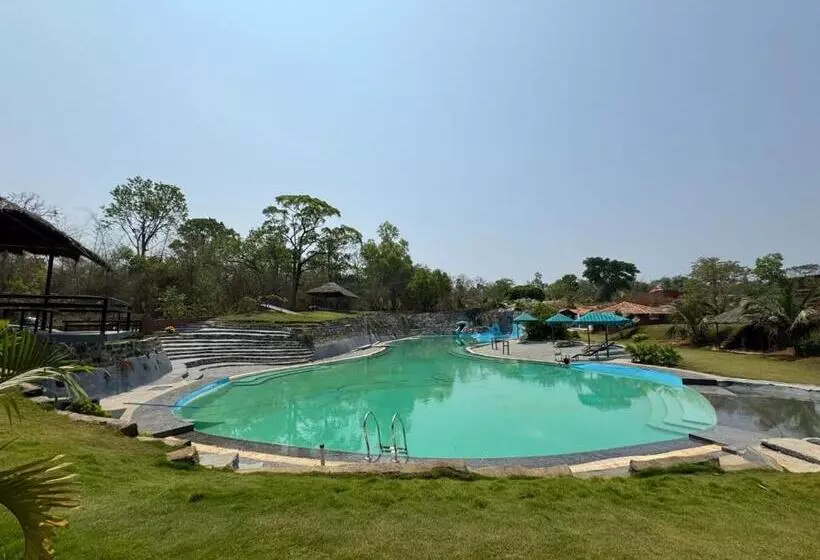 The Dandelion   Colonels Jungle Resort