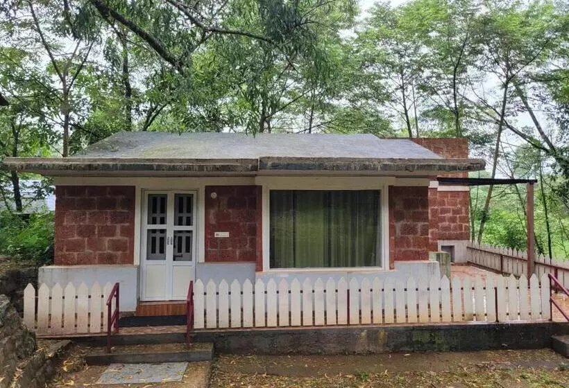 The Dandelion   Colonels Jungle Resort