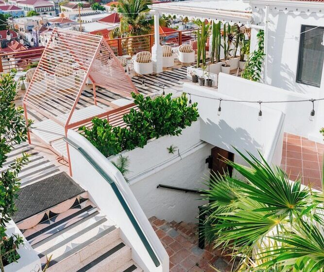 The Pink Palm Hotel   Adults Only