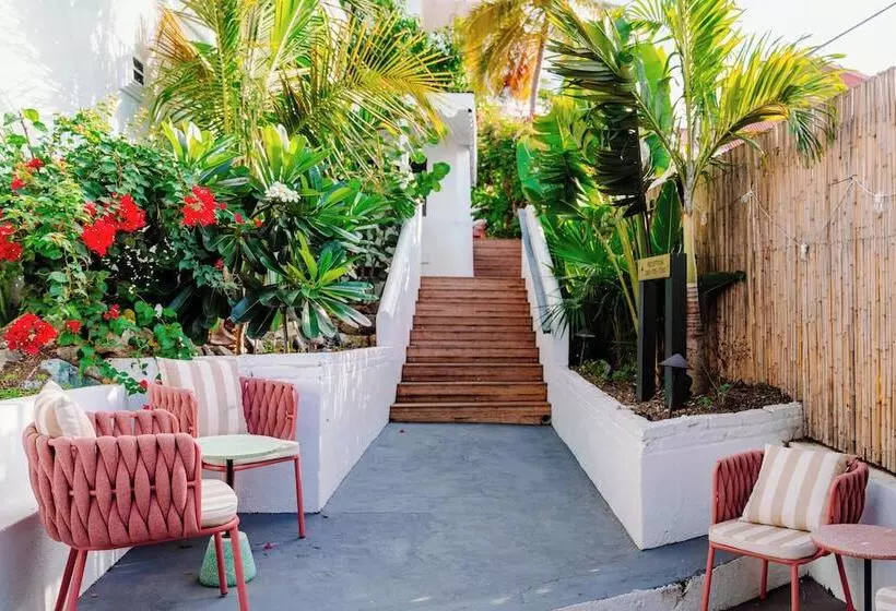 The Pink Palm Hotel   Adults Only