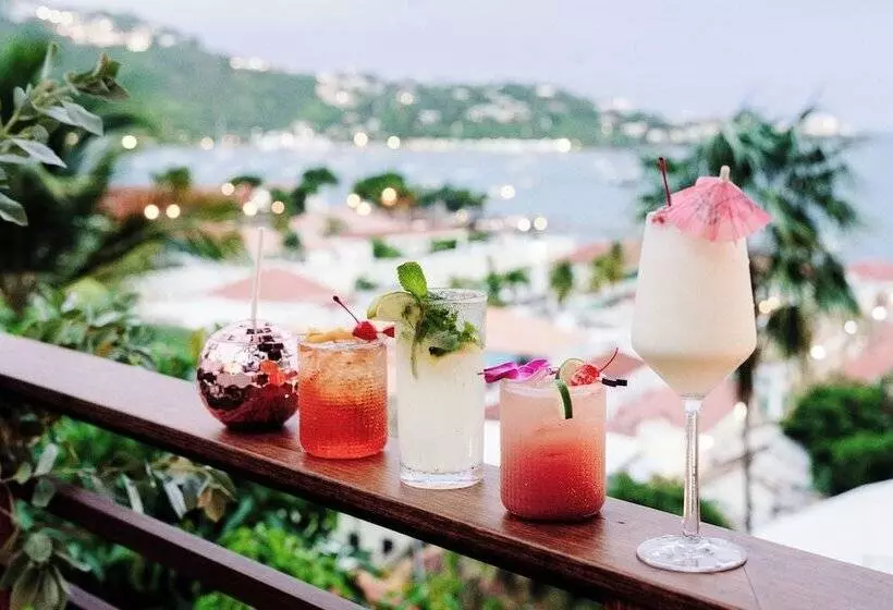 The Pink Palm Hotel   Adults Only