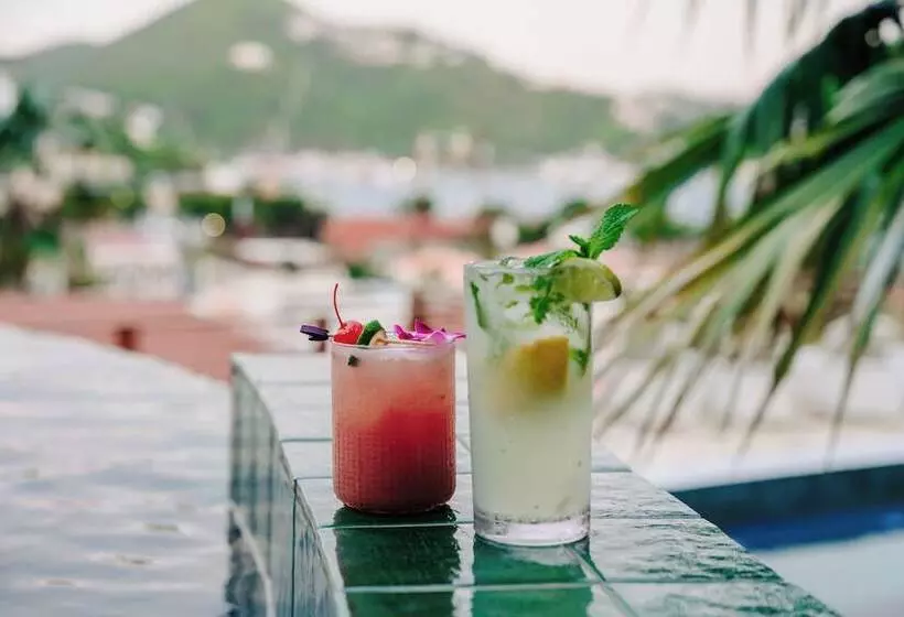 The Pink Palm Hotel   Adults Only