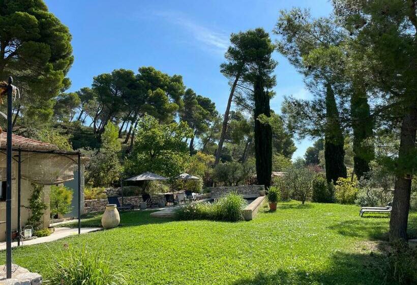 住宿加早餐  Le Mas Angelou