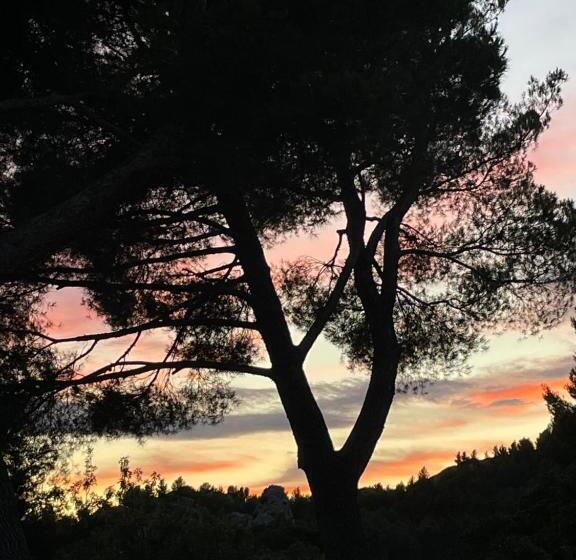 住宿加早餐  Le Mas Angelou