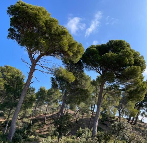 住宿加早餐  Le Mas Angelou