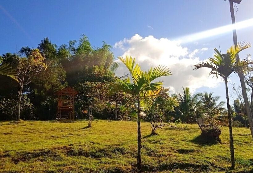 هتل Serapius Green