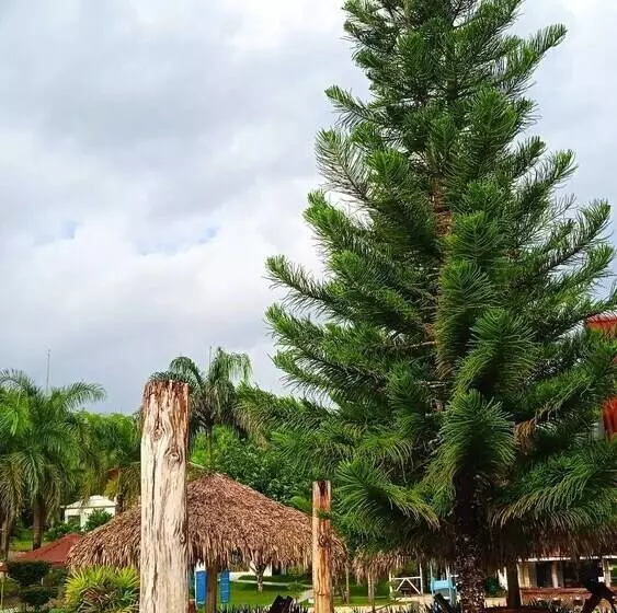 هتل Serapius Green