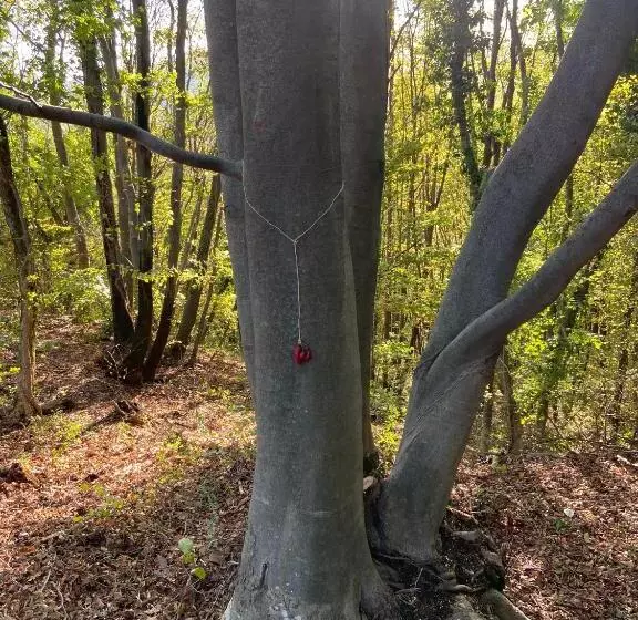 Aamiaismajoitus (B&B) Suxen Nature Experience   Lodge Con Vista Panoramica