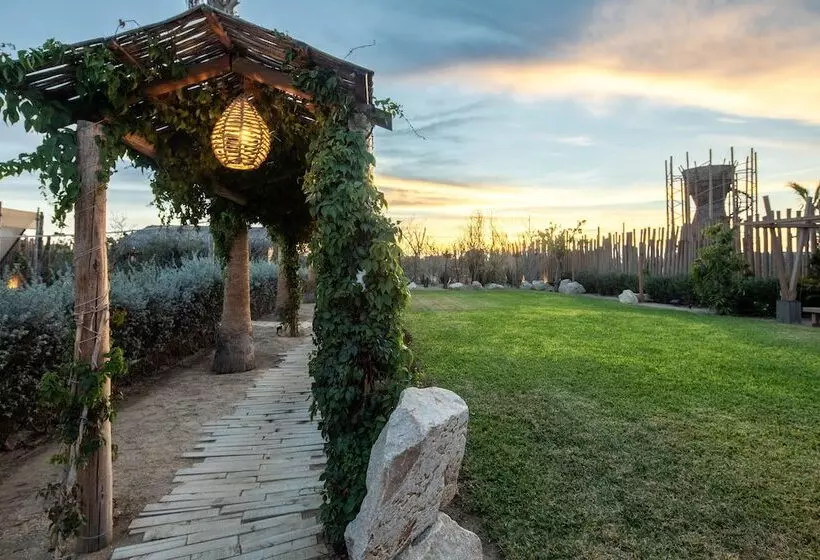 Hotelli El Perdido Desert Dream