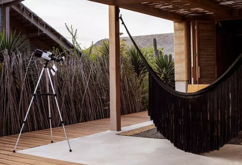 Hotelli El Perdido Desert Dream