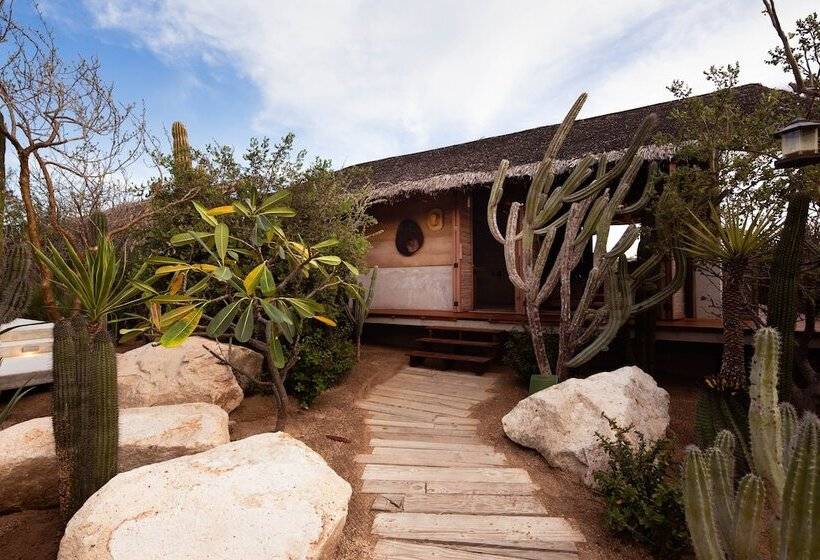 ホテル El Perdido Desert Dream