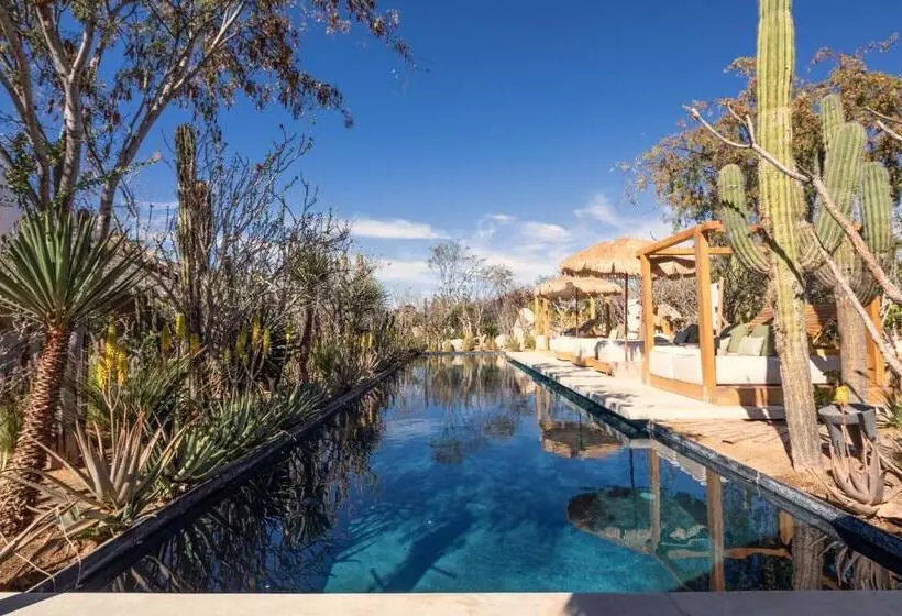 Hotelli El Perdido Desert Dream