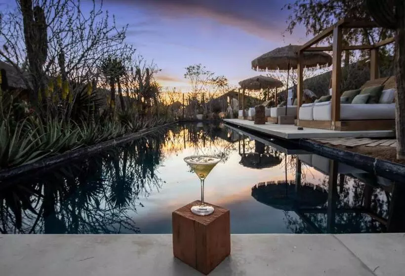 Hotelli El Perdido Desert Dream