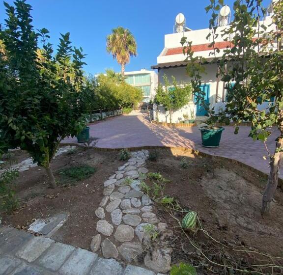 בית מלון כפרי Sunside Inn