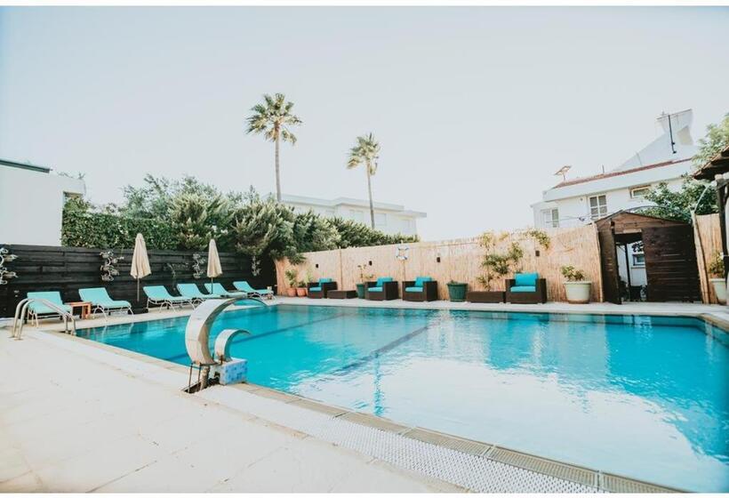 בית מלון כפרי Sunside Inn