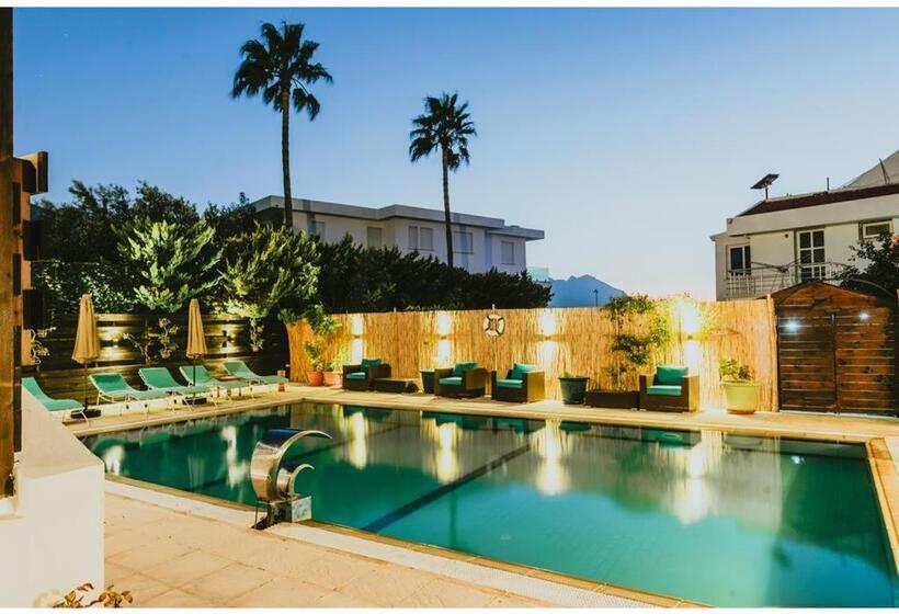 בית מלון כפרי Sunside Inn