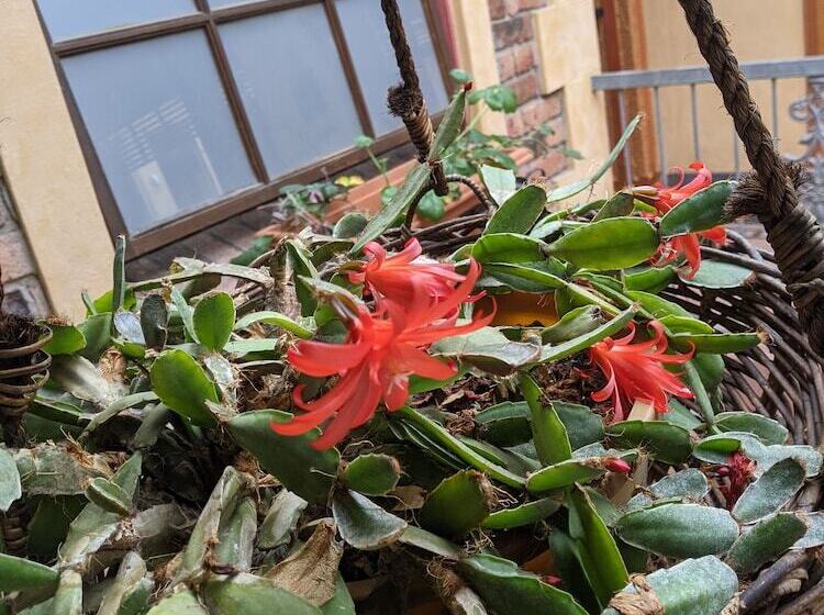 Ettalong Beach Tourist Resort