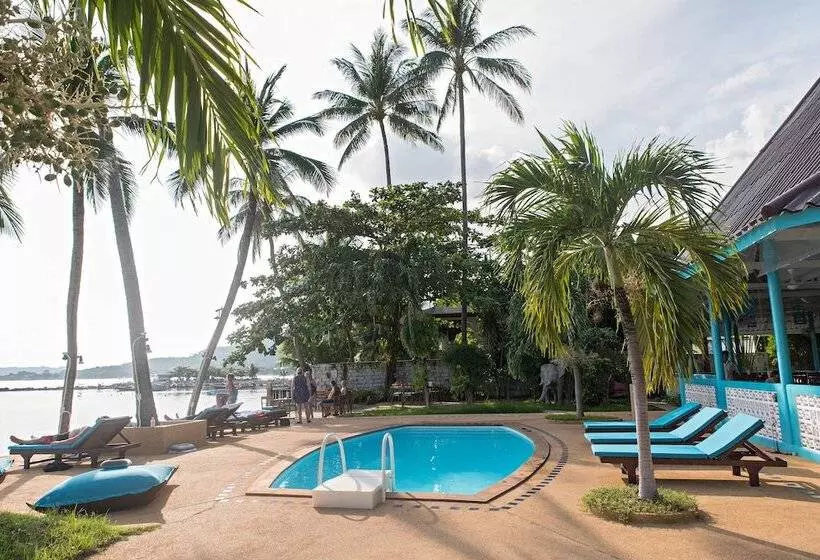 Отель Blu' Beach Bungalows