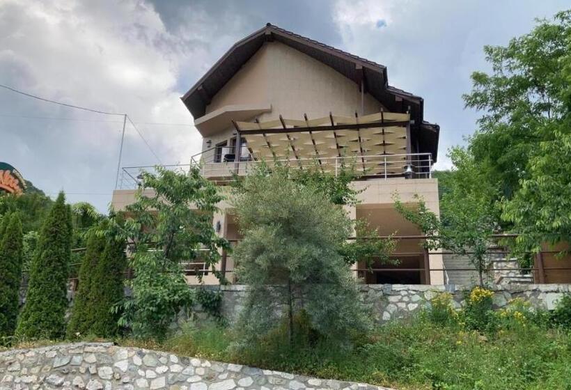 مبيت وإفطار Naiya Cazanele Dunarii