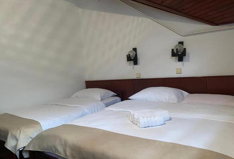 تختخواب و صبحانه Sobe Na Jošanici