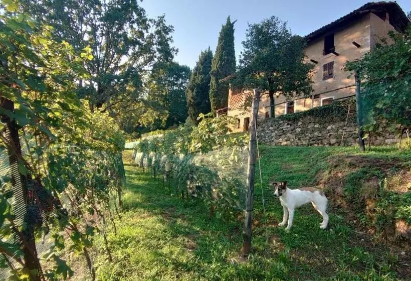 ホテル Agriturismo Borgo Cà Del Becca