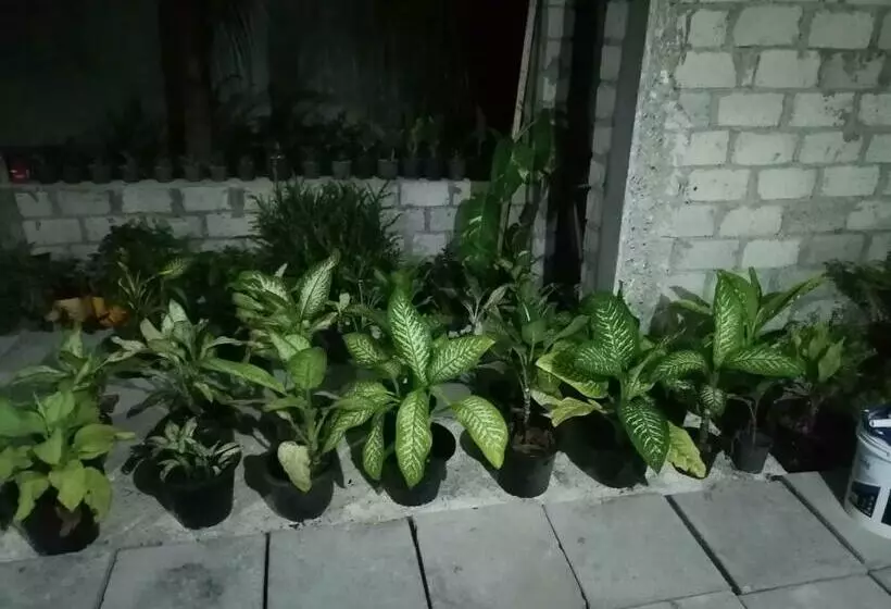 هتل The Rose Garden House, Addu City, Maldives