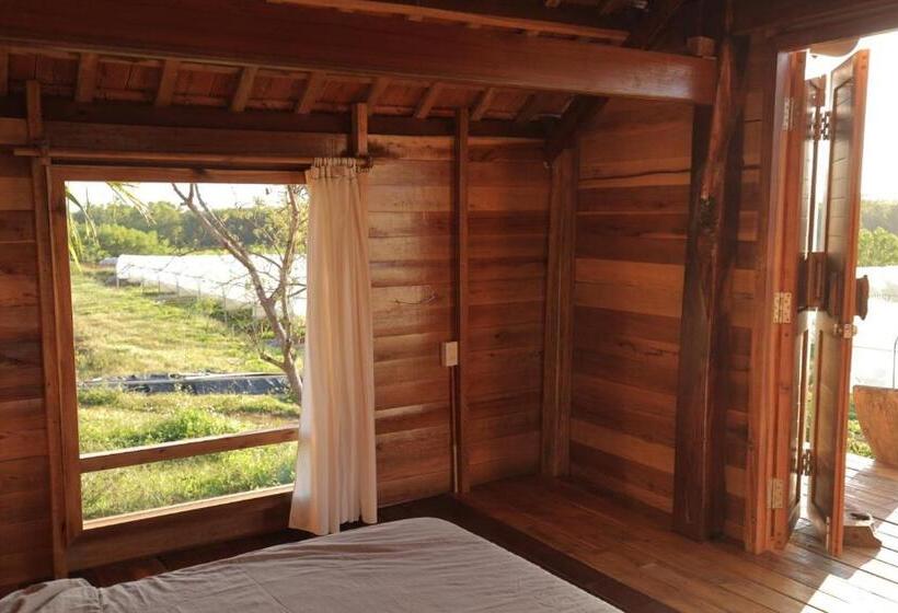 هتل Todo Farm Organic Farming & Retreat