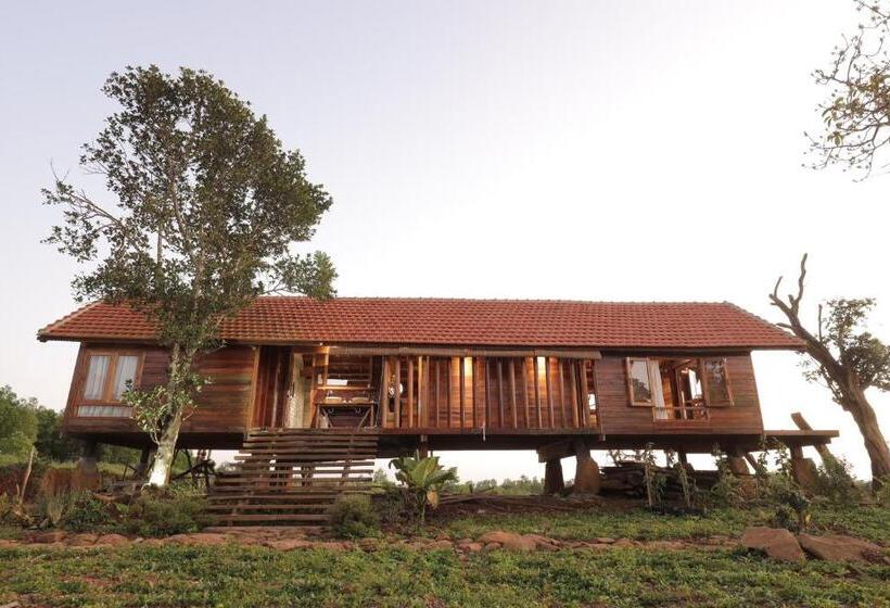 هتل Todo Farm Organic Farming & Retreat