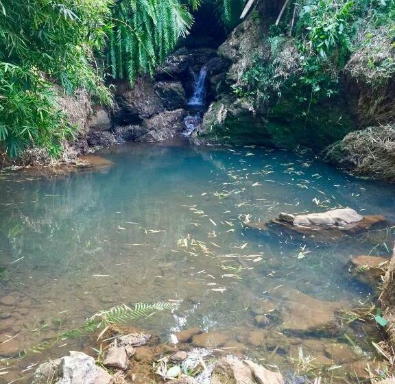 پانسیون La Kaz A Dada