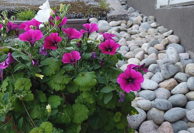 הוסטל Seitsemän Sillan Majatalo