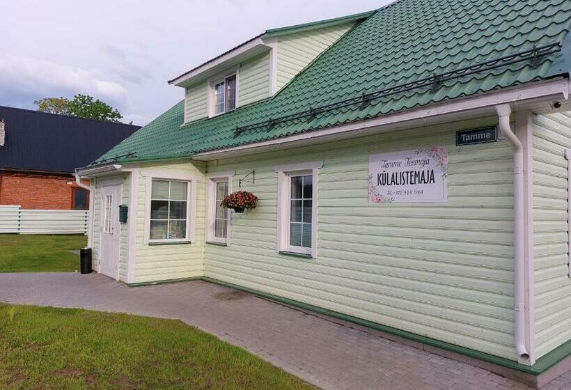 هاستل Tamme Teemaja