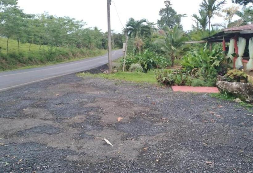 住宿加早餐  Posada Rio Celeste In