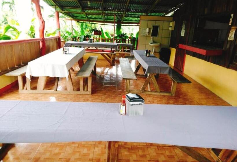 住宿加早餐  Posada Rio Celeste In